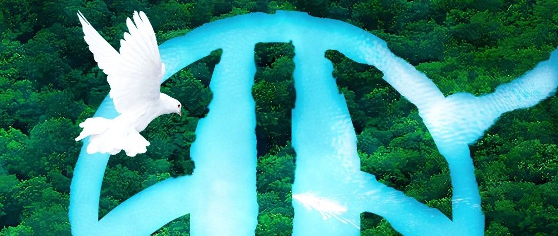 312植树节和乐逸共建绿色家园